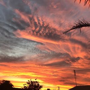 Meet your Posher, Lucy